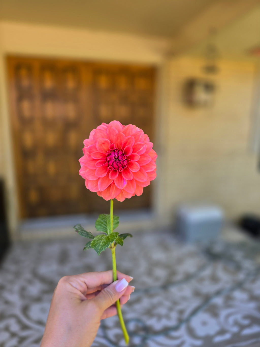 RM Pink Sugar - Tuber